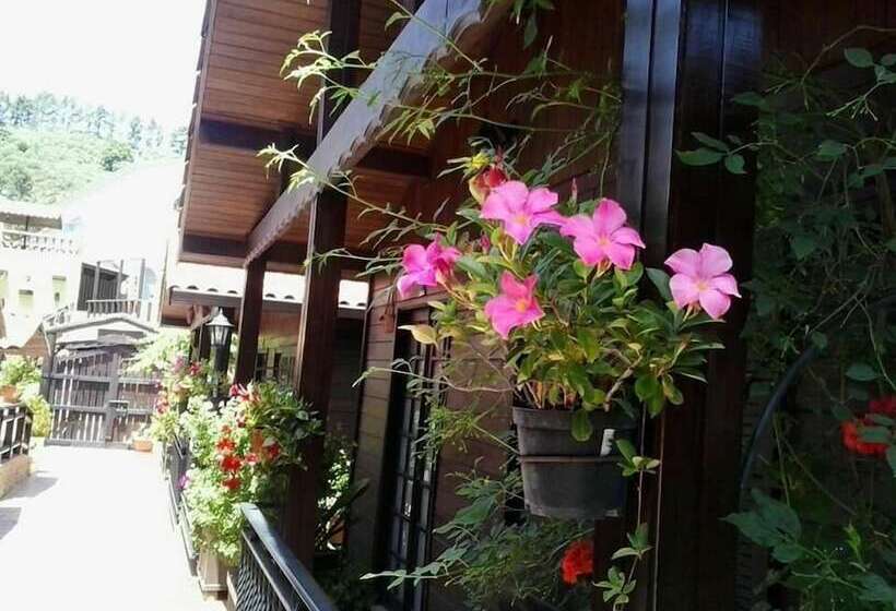 مبيت وإفطار Cabañas Valle Verde