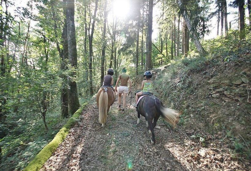 צימר Chambres D Hôtes Auberg Inn