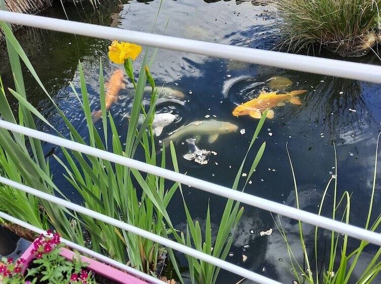 مبيت وإفطار Chambres D'hotes L'amandier