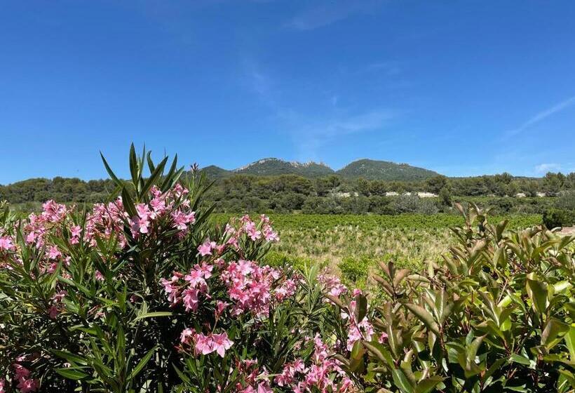 ベッドアンドブレックファースト Côté Dentelles