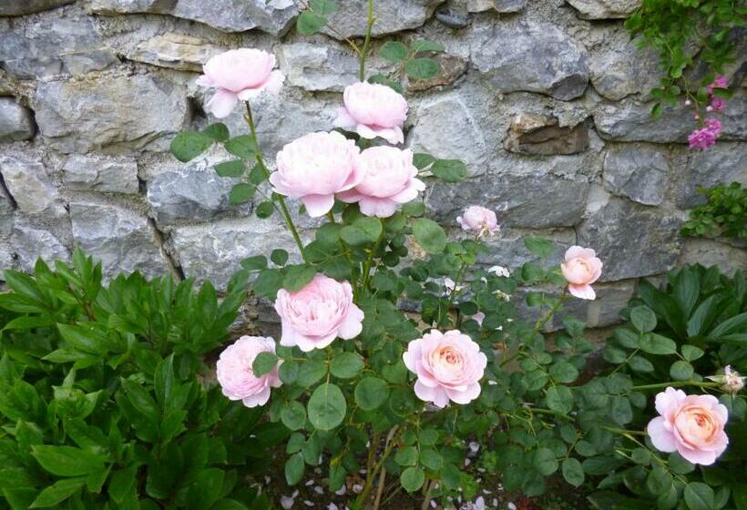 مبيت وإفطار Green Bike Pyrenees