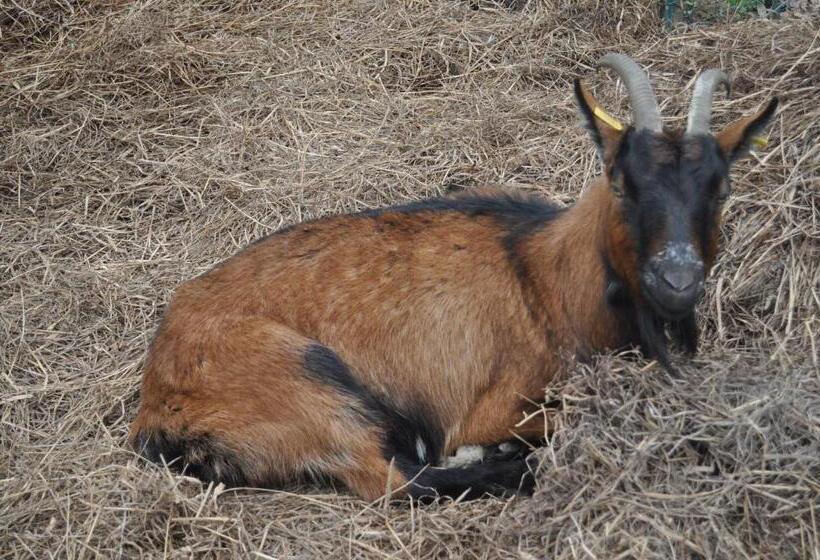 צימר Le Clos Saint Fiacre