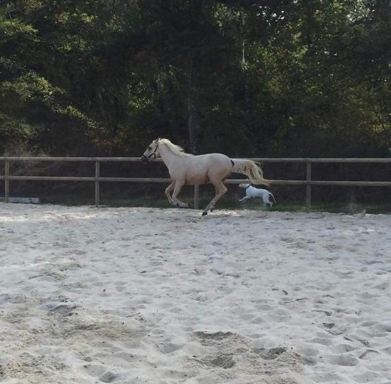 צימר Le Pigeonnier De La Farge