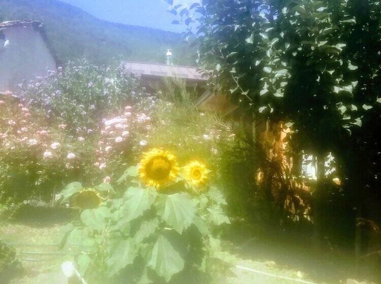 مبيت وإفطار Maison Biselli