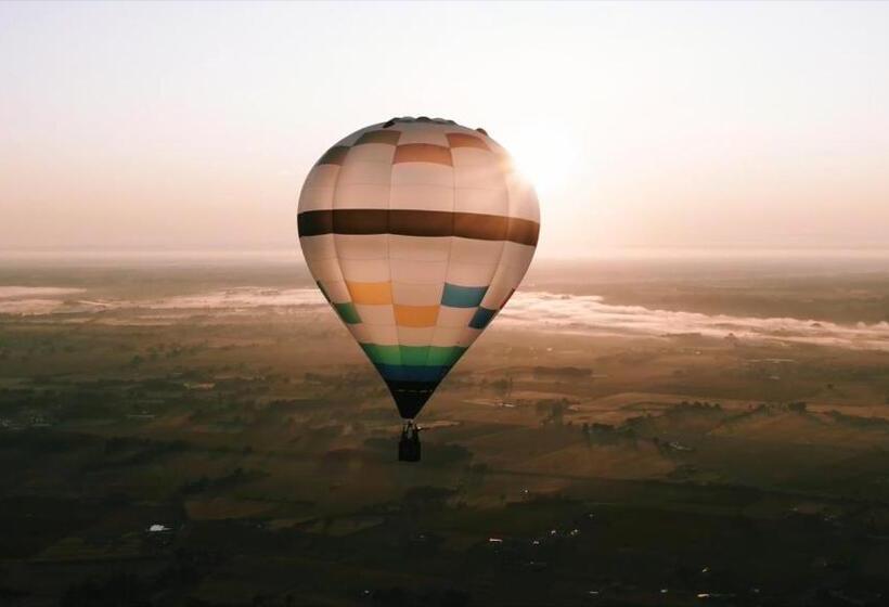 Bed and Breakfast Maison Du Figuier