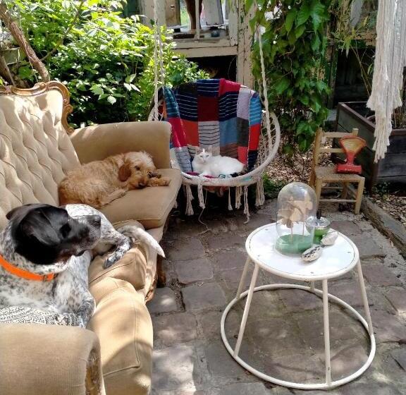 Bed and Breakfast Mimi La Sardine