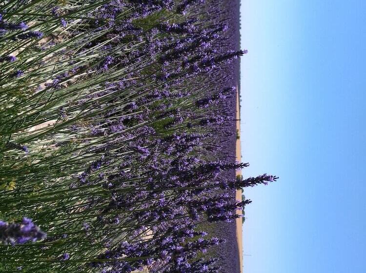 住宿加早餐  Reve D’emma