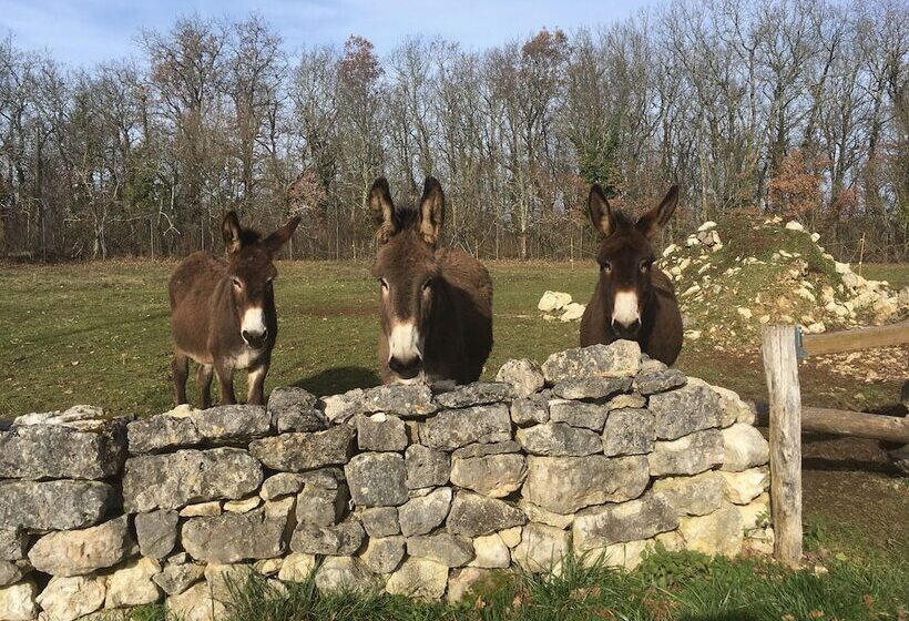 צימר Un Chemin En Quercy
