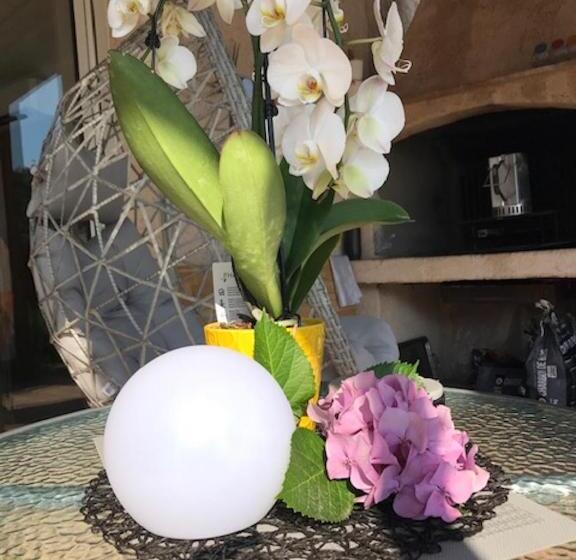 צימר Villa Santa Rita