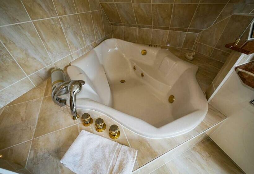 Gites Spa Strasbourg Villa Ours Spa Privé, Sauna, Borne D Arcade, Babyfoot