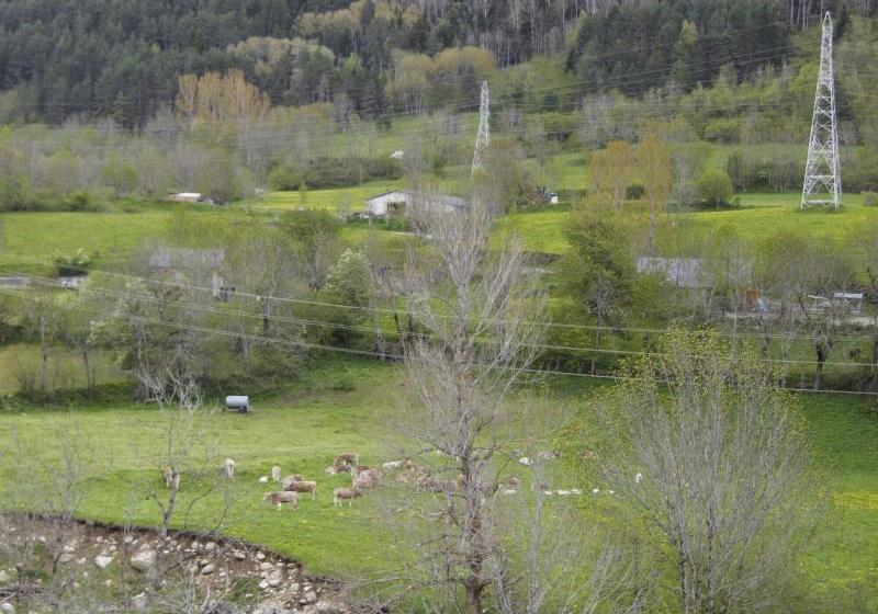 Gran Casa Histórica Pyrenhab