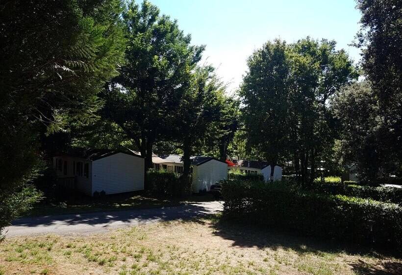 酒店 Camping Le Pigeonnier