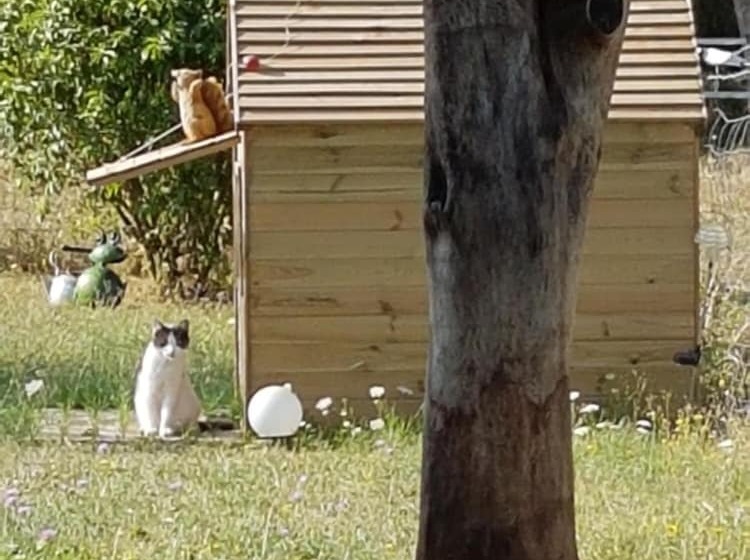 Отель La Grange De Marie