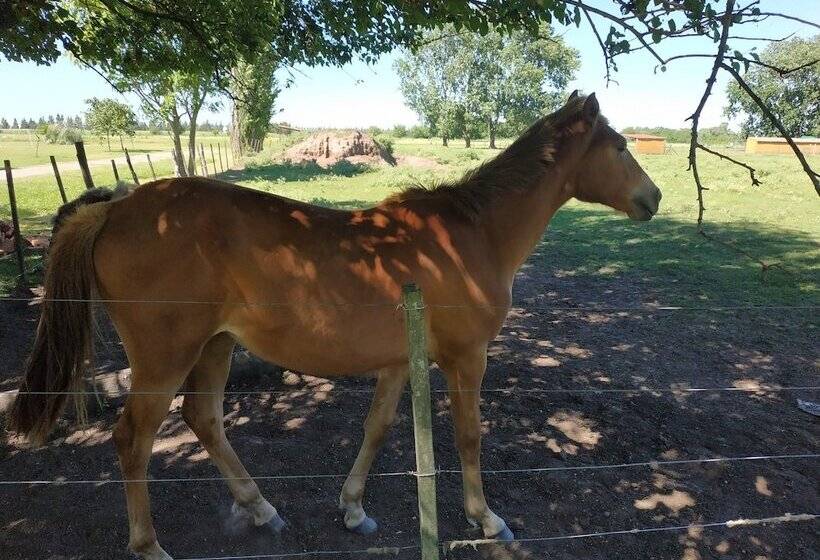 Отель Pampas Del Sur