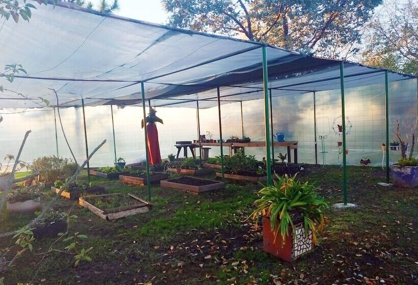 Отель Pampas Del Sur