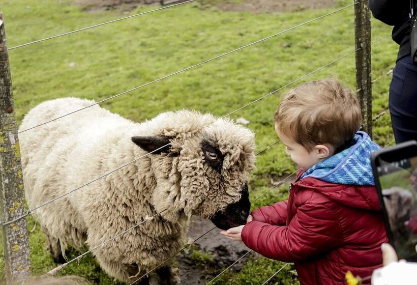 Отель Pampas Del Sur