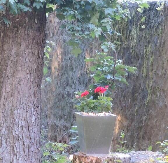 فندق Les Platanes