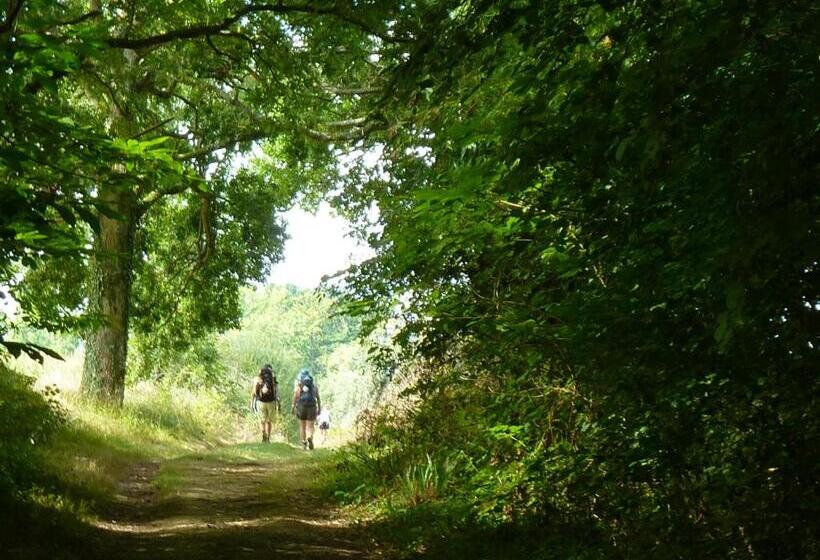 فندق Les Platanes