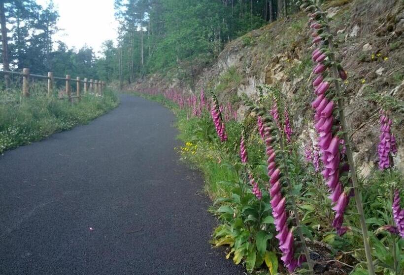 Отель Les Platanes