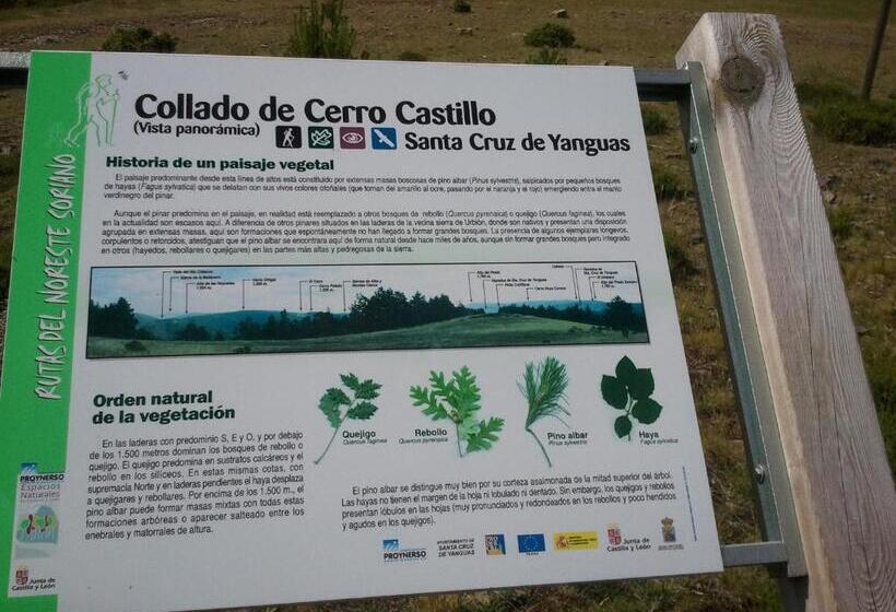 בית מלון כפרי Rural Los Cerezos De Yanguas