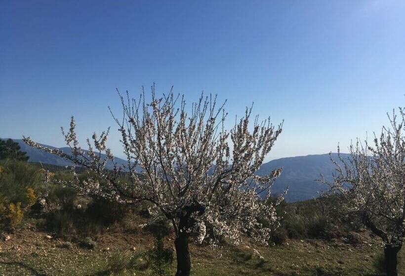 مبيت وإفطار La Fuente Retreat