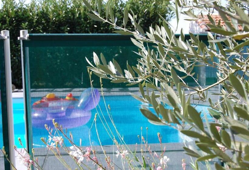 Le Comptoir Des Ecoliers