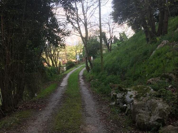 Los Acebos De Peña Cabarga