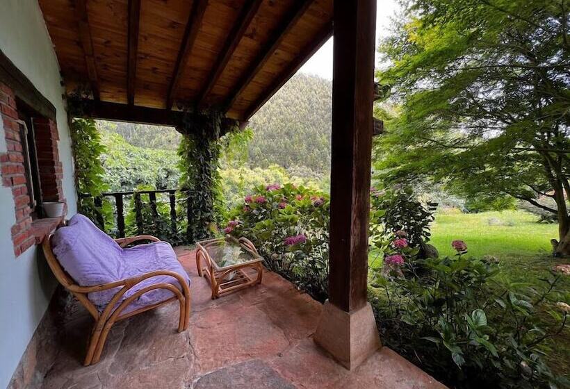 Los Acebos De Peña Cabarga