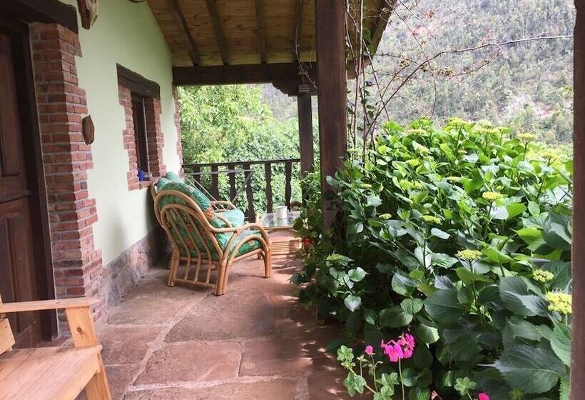 Los Acebos De Peña Cabarga