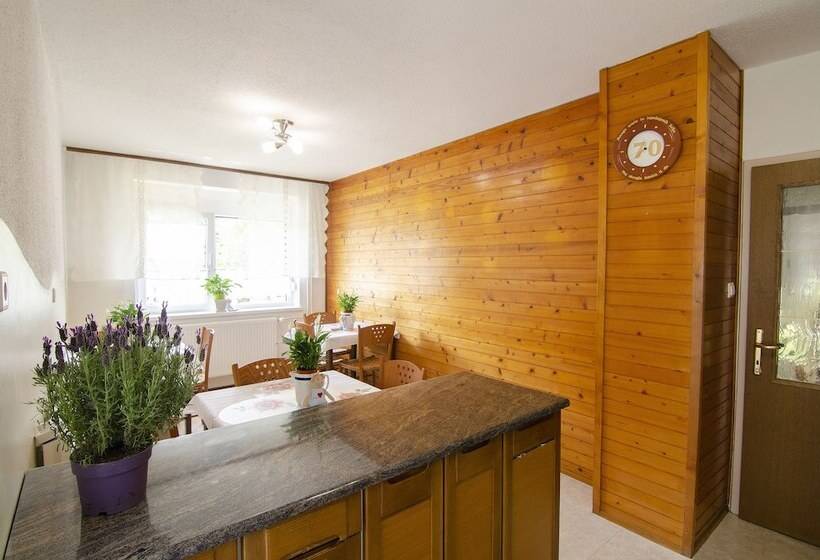 پانسیون Apartments And Rooms Banić