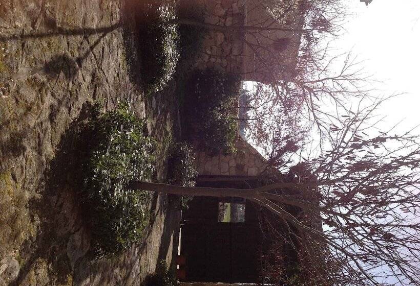 بنسيون Casa Rota