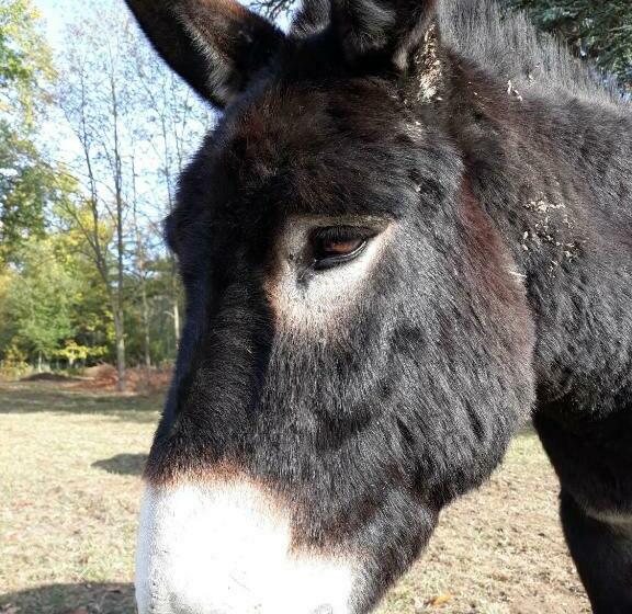 펜션 Chambres D Hôtes La Bourbelle