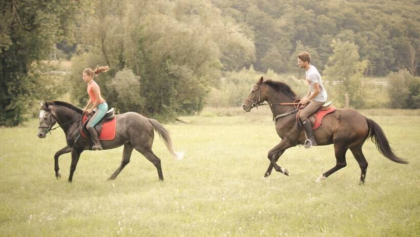 پانسیون Farm Stay Zevnik