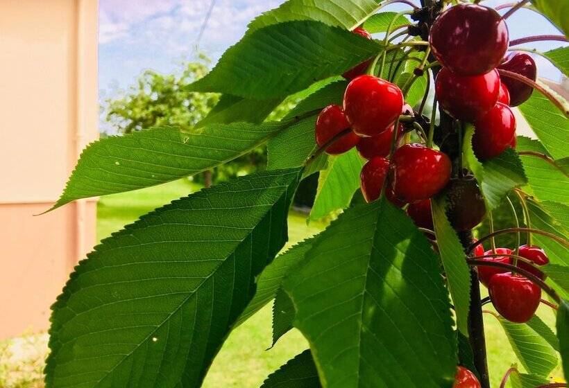 פנסיון Jolie Halte Normande