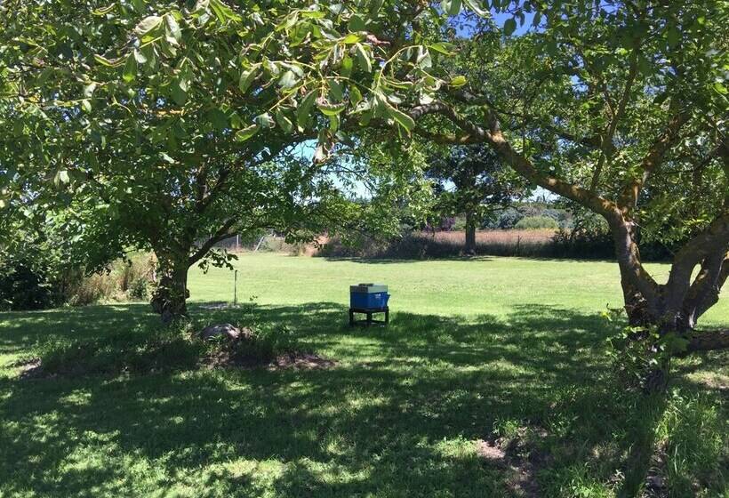 פנסיון Jolie Halte Normande