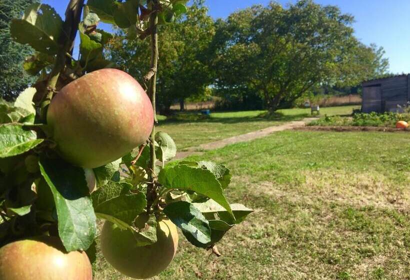 פנסיון Jolie Halte Normande