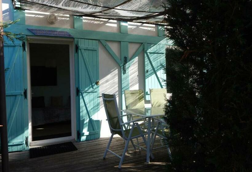 بنسيون Le Mas Des Landes