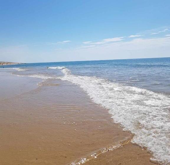 بنسيون Le Mas Des Landes