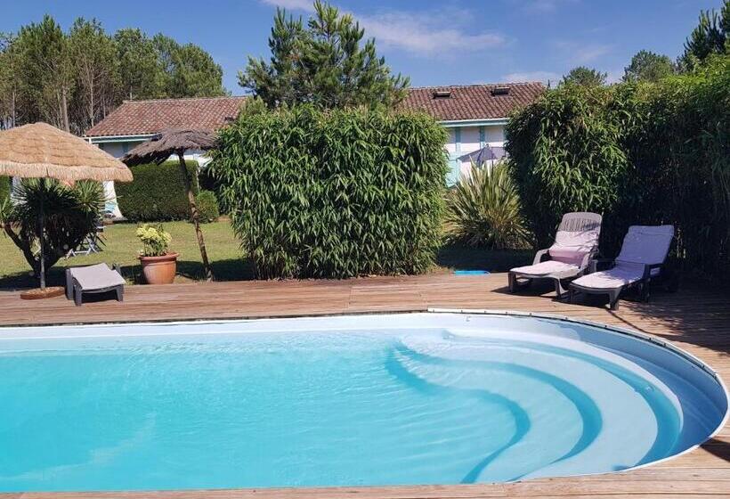 بنسيون Le Mas Des Landes