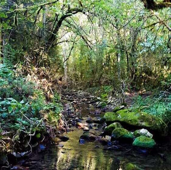 Пансион Le Moulin De Gauty