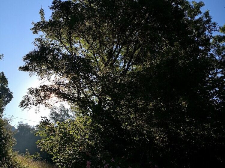 Пансион Le Moulin De Gauty