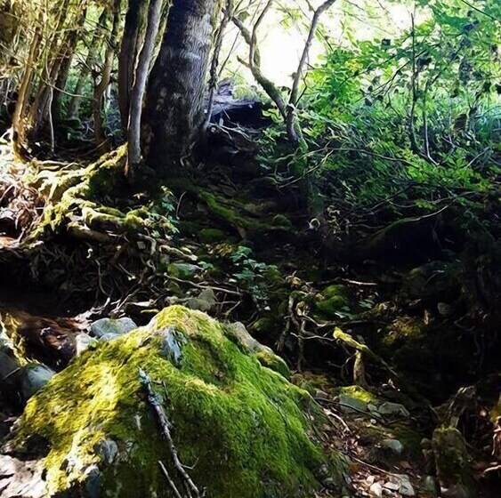 Пансион Le Moulin De Gauty