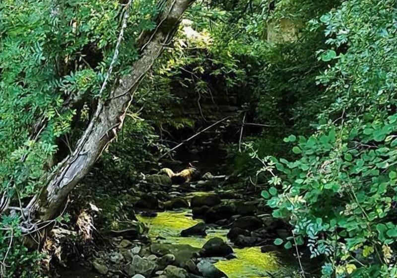 Пансион Le Moulin De Gauty