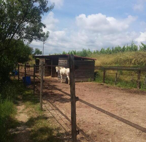 Пансион Les Anes De Petit Jean