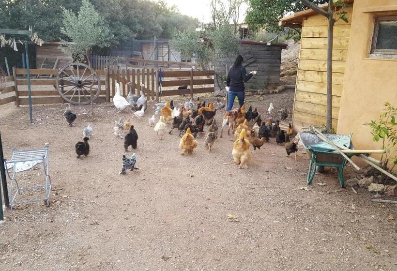 Пансион Les Anes De Petit Jean