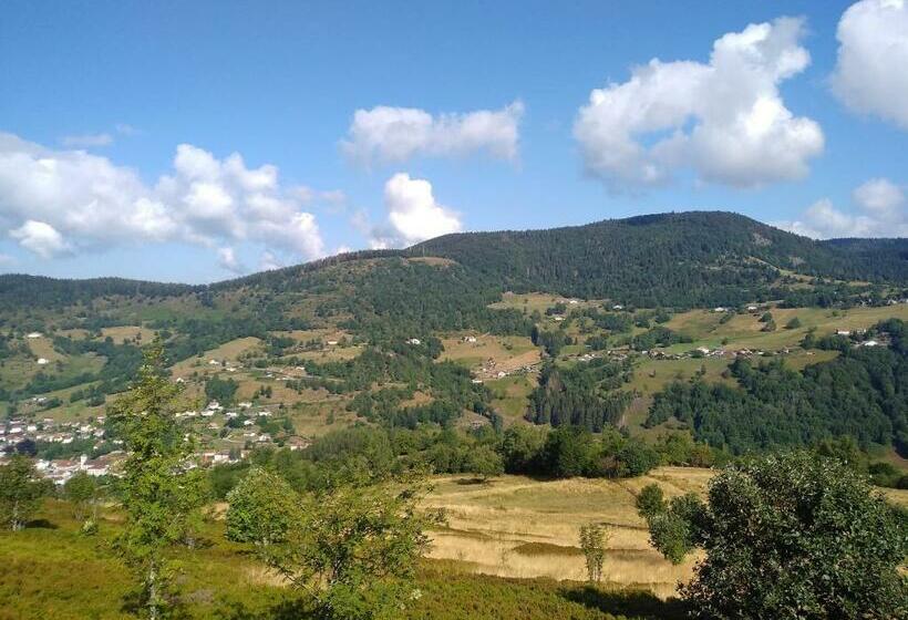 بنسيون Les Sapins