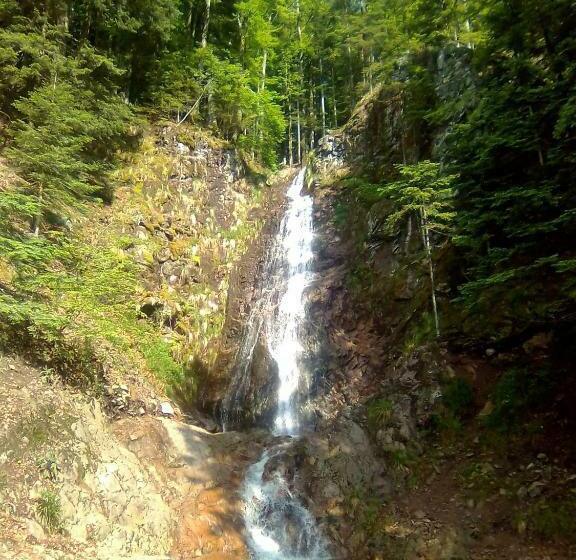 بنسيون Les Sapins