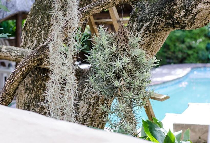 ペンション Panorama Guest House