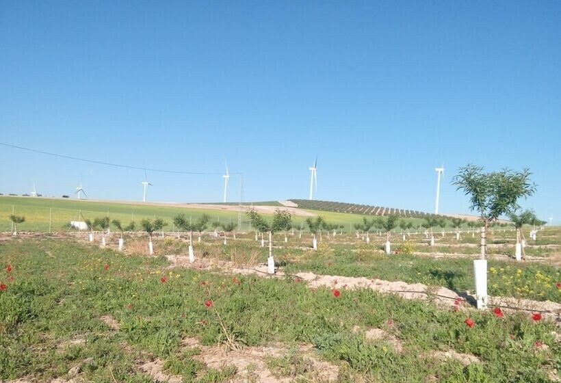 צימר Alojamiento Rural El Oregano