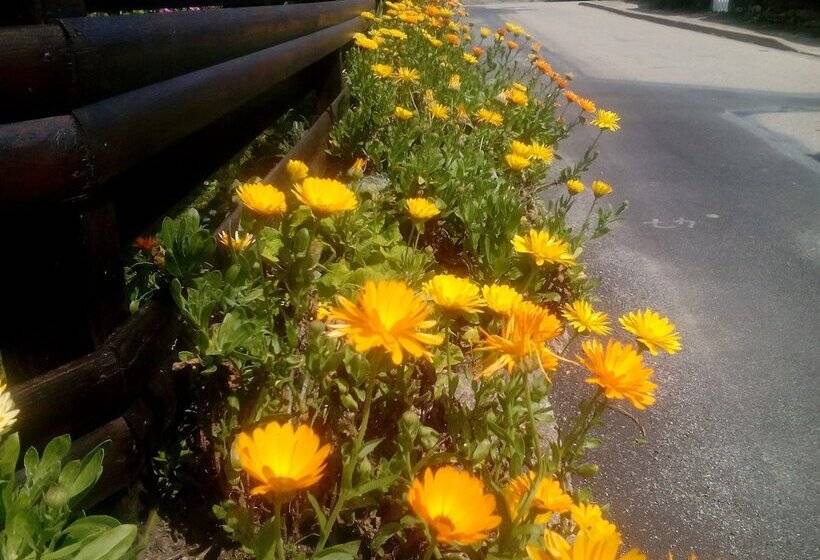 مبيت وإفطار Au Jardin De Creachavel